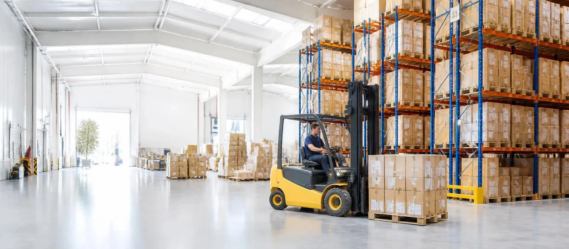 Bright modern warehouse interior with racking, pallets and a forklift